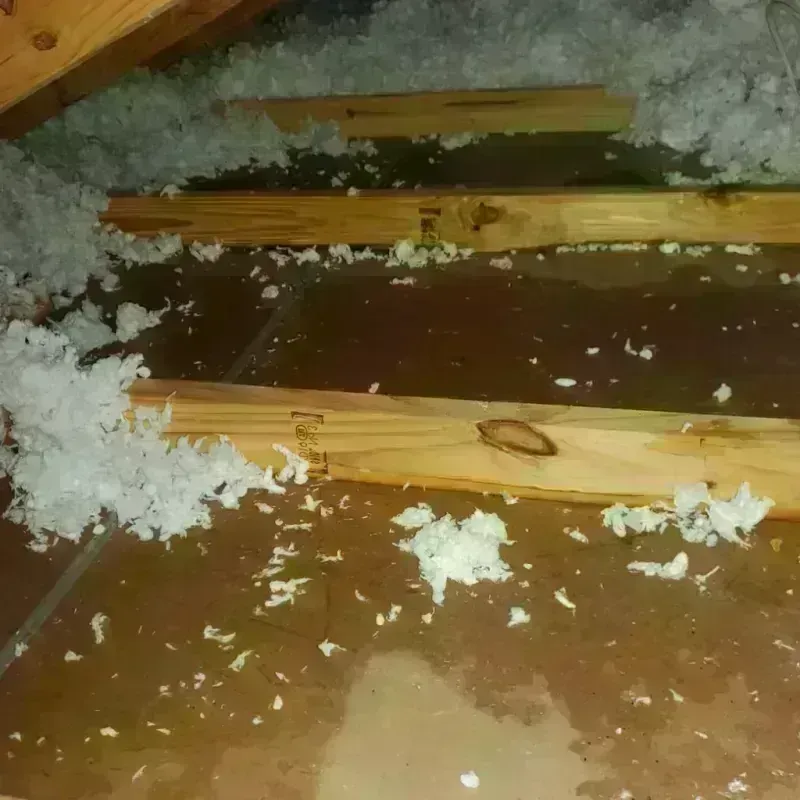 Attic Water Damage in Williamson, WV