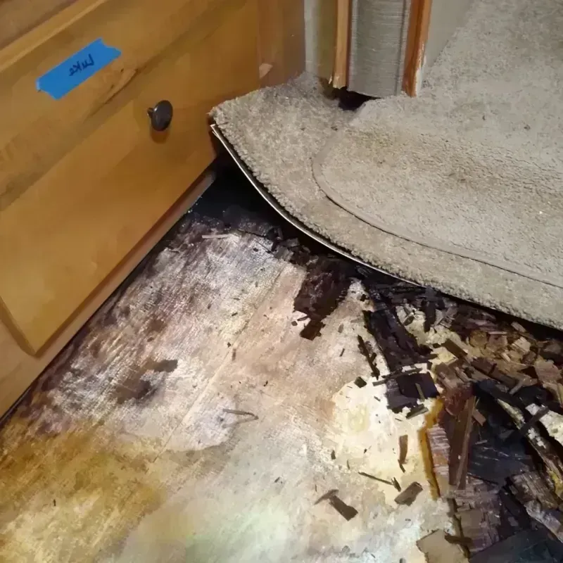 Best Wood Floor Water Damage Service in Williamson, WV